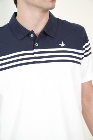 POLOS PIQUE CON LINEAS